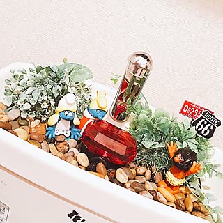 バス/トイレ/ごちゃごちゃ部/男前/観葉植物/汚部屋をどうにかしたい...などのインテリア実例 - 2017-06-15 22:25:51