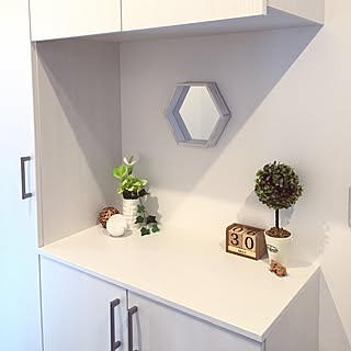 玄関/入り口/靴箱のニオイどうにかしたい/シーサー/六角形/建売住宅...などのインテリア実例 - 2016-05-30 17:09:47