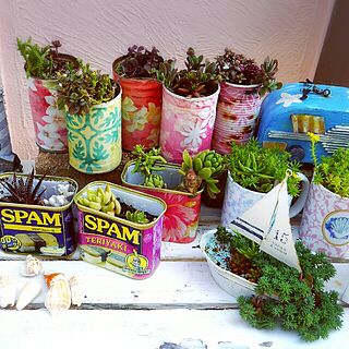 棚/植物/ペンキ塗り/スパムの缶/貝殻...などのインテリア実例 - 2016-05-21 21:06:03