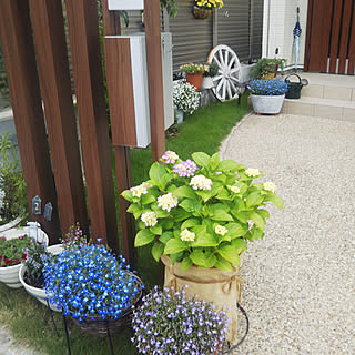 ガーデニング アズーロコンパクトのおしゃれなインテリア 部屋 家具の実例 Roomclip ルームクリップ