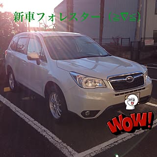 新車（≧∇≦）のインテリア実例 - 2013-12-30 08:16:50