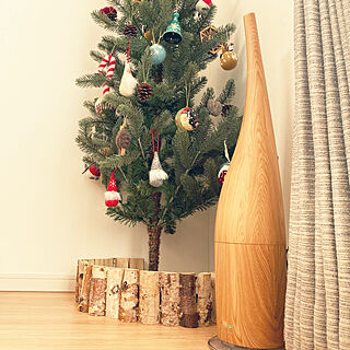 ケユカのカーテン/IKEAのクリスマスツリー/クリスマスツリー/加湿器/北欧...などのインテリア実例 - 2021-11-25 14:08:37
