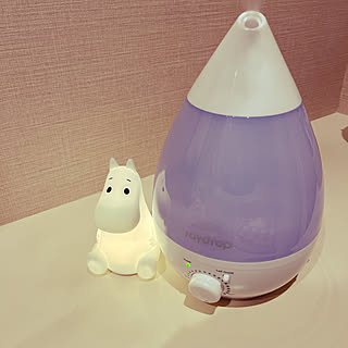 加湿器始めました/ムーミン♡/雑貨/100均/カフェ風...などのインテリア実例 - 2023-04-28 19:44:55