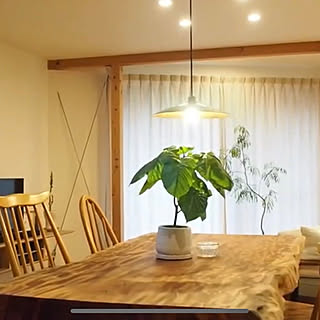 YOUTUBE/動画公開/動画/ルームツアー/RoomTour...などのインテリア実例 - 2020-03-12 22:48:03