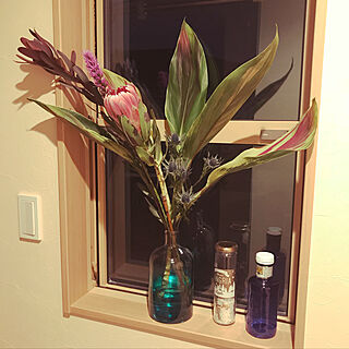 棚/ピンクアイス/お花のある暮らし/花瓶/窓際のグリーン...などのインテリア実例 - 2018-03-21 02:41:32