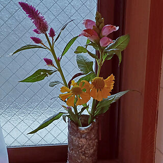 バス/トイレ/陶器の花瓶/癒し/お花に癒されてます/お花のある暮らし...などのインテリア実例 - 2022-09-10 18:13:42