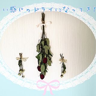 壁/天井/ばらの花のインテリア実例 - 2017-01-31 11:19:14