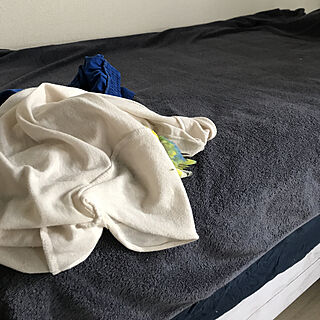 ベッド周り/インコ/とりさん/いたい場所のインテリア実例 - 2018-08-23 11:37:49