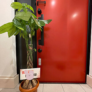 観葉植物/赤い玄関ドア/赤いドア/白い床/モノトーン...などのインテリア実例 - 2021-10-01 12:20:16