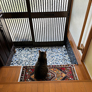 玄関/入り口/古い家/ねこのいる日常/猫と暮らす/トルコ絨毯のインテリア実例 - 2023-10-28 11:20:22