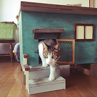 《受注生産C06》おしゃれハウス ハンドメイド リメイク 保護猫 タワー 外猫