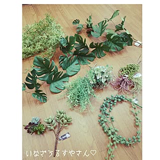 部屋全体/男前初心者♪/いなざうる屋さんのフェイクグリーン♡/多肉植物/植物のインテリア実例 - 2014-09-02 14:09:59