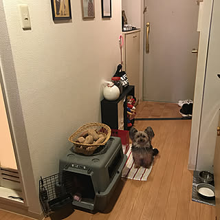 クレートのインテリア実例 Roomclip ルームクリップ