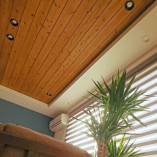 壁/天井/シンプル/観葉植物のある部屋のインテリア実例 - 2017-06-03 07:23:15