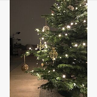 部屋全体/オーナメント/Instagram: jucom.de/シンプルインテリア/クリスマスツリー...などのインテリア実例 - 2016-12-16 16:22:59