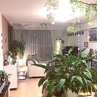 部屋全体/観葉植物/緑のある空間/フェイクグリーン/スパティフィラム♡...などのインテリア実例 - 2018-03-12 07:30:09