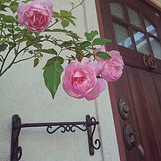 玄関/入り口/海外インテリアに憧れる/バラのある暮らし/薔薇が好き/interior...などのインテリア実例 - 2020-10-30 00:06:59