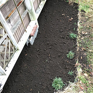 DIY/土壌改良/花壇のインテリア実例 - 2018-03-16 16:16:49