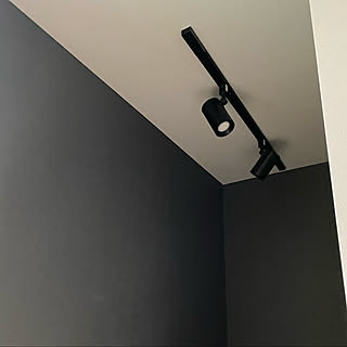 DIY予定/SCL/壁/天井のインテリア実例 - 2020-08-27 20:25:42