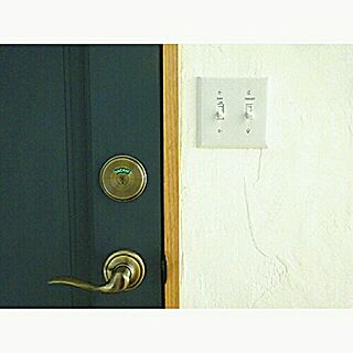 壁/天井/漆喰壁DIY/アメリカンスイッチ/ドアペイント/トイレのドアのインテリア実例 - 2017-06-14 13:43:24