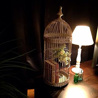 鳥かご/ランプ/アンティーク瓶のインテリア実例 - 2013-02-11 14:30:20