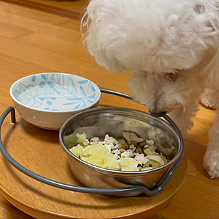 リリーちゃん完食/カレーの日/快晴34℃/灼熱の夏/蒸し暑い…(*_*)...などのインテリア実例 - 2021-08-02 21:41:45