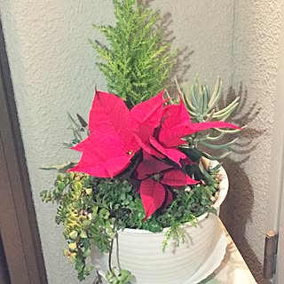 玄関/入り口/クリスマス/マンションですが.../部屋の門扉前から/手作りです。...などのインテリア実例 - 2015-11-20 16:15:05