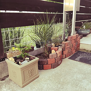 ダイソー 花壇diyのインテリア 手作りの実例 Roomclip ルームクリップ