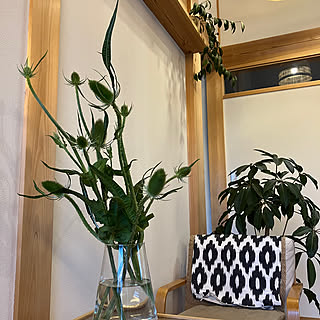 花のある暮らし/花がある暮らし/植物と暮らす/平屋暮らし/山陰...などのインテリア実例 - 2023-06-14 20:19:56