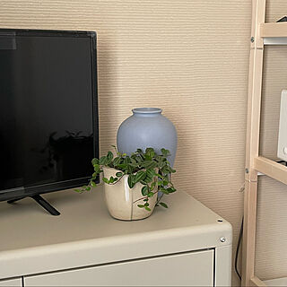 テレビ周り/観葉植物のある部屋/観葉植物のある暮らし/観葉植物/韓国インテリアに憧れる...などのインテリア実例 - 2022-02-18 17:43:18