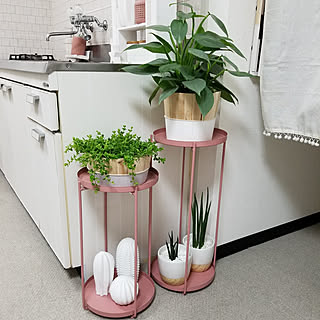 観葉植物 フラワースタンドのおしゃれなアレンジ 飾り方のインテリア実例 Roomclip ルームクリップ