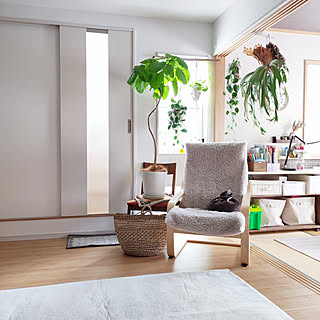 リビング/新生活/グリーンのある暮らし/観葉植物のある暮らし/IKEA...などのインテリア実例 - 2023-02-27 19:39:56