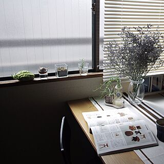 植物のある暮らし/植物/IKEA/ニトリ/カーテン...などのインテリア実例 - 2017-04-20 16:15:46