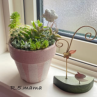 お花畠ミニ植木鉢白♡韓国鉢輸入鉢 お花畠ミニ植木鉢白♡韓国鉢輸入鉢
