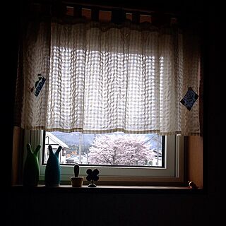 キッチン/雑貨/カラフル♪/桜満開♪のインテリア実例 - 2014-04-29 09:40:49