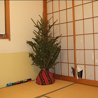IKEA/本物のもみの木/クリスマスのインテリア実例 - 2016-12-15 17:09:41