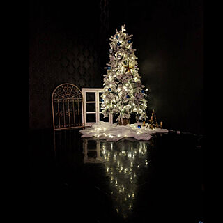 クリスマスツリー/クリスマス/イルミネーション/黒い部屋/鏡面の床のインテリア実例 - 2018-11-20 17:15:41