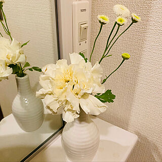 花のある暮らし/バス/トイレのインテリア実例 - 2020-04-09 21:25:51
