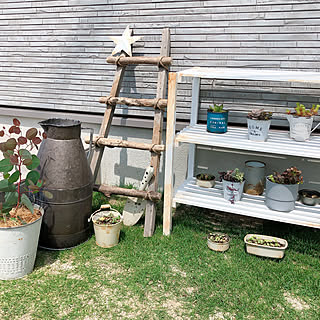 植物のある暮らし/おうち時間/多肉よせ植え/寄せ植え/玄関/入り口...などのインテリア実例 - 2021-04-08 17:43:37