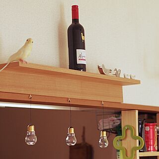 キッチン/セリアの電球型瓶/無印良品 壁に付けられる家具/無印良品/鳥さん...などのインテリア実例 - 2015-03-28 16:59:21