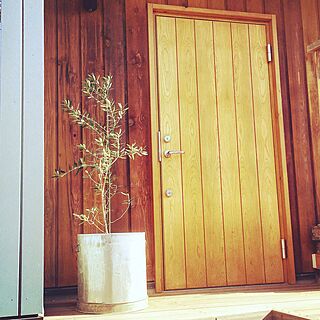 玄関/入り口/玄関ドア/玄関/スウェーデン木製断熱玄関ドア/サイディング...などのインテリア実例 - 2017-05-08 20:09:21