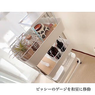 団地暮らし/ペットとの暮らし/IKEA/ニトリ/シンプルナチュラル...などのインテリア実例 - 2020-02-24 21:56:59