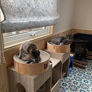 カインズホーム♡/スウェーデンハウス /猫のための家/ディンプレックス/リビングのインテリア実例 - 2021-04-17 13:34:54