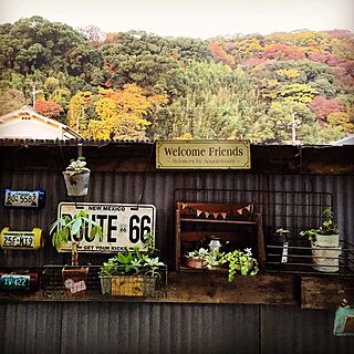 キッチン/紅葉…多肉ちゃんと ともに/リメ缶/多肉植物/NO GREEN NO LIFE...などのインテリア実例 - 2014-11-27 10:06:17