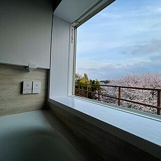 桜/庭/浴室/TOTOサザナ/バス/トイレのインテリア実例 - 2022-04-07 17:37:11