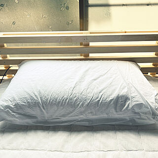 ベッド周り/通販生活/メディカル枕のインテリア実例 - 2023-08-10 10:29:45