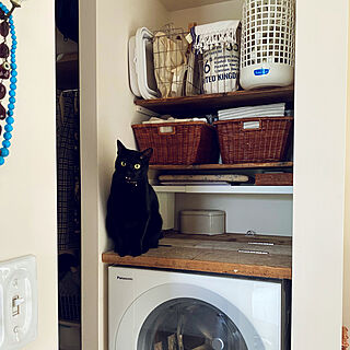 バス/トイレ/Cuble 洗濯機/ねこのいる日常/猫と暮らす家のインテリア実例 - 2024-04-23 22:45:41