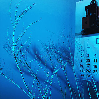 枝もの/カレンダー/灯りに癒される/Hue Go/ベッド周りのインテリア実例 - 2021-05-15 20:25:42
