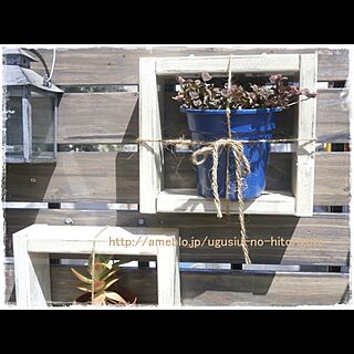 ハンドメイド/植物/すのこ/板壁/玄関脇のインテリア実例 - 2014-12-10 21:00:05