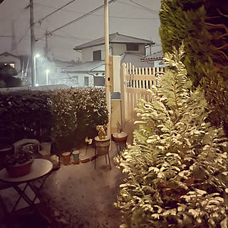 お花避難/初雪/小さな庭/猫と暮らす家/山暮らし...などのインテリア実例 - 2023-01-25 00:36:35